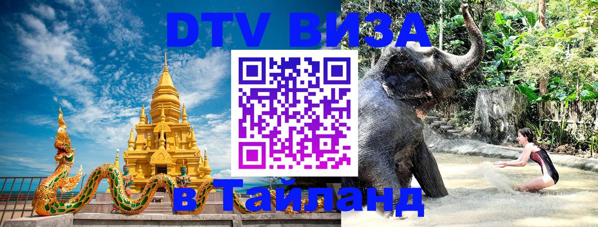 Электронная виза DTV в Тайланд Париж 